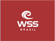 WSS Brasil - Web Surf Shop